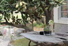 485008_578484412176817_177..