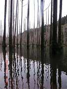 2013-03-17 水漾 043 (小型)