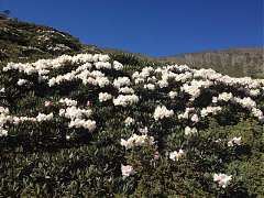 542049_413860435314906_100..