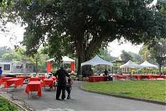 295679_578466885511903_210..