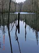 2013-03-17 水漾 104 (小型)