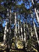 522212_413852498649033_100..