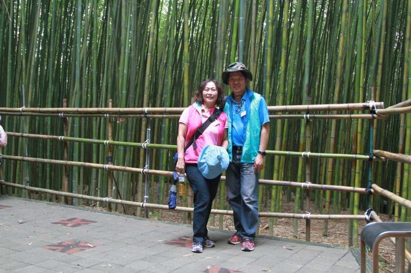 20201024-25國內旅遊_201231..