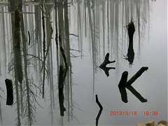 581882_10151355193464087_7..