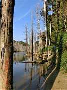 2013-03-17 水漾 136 (小型)