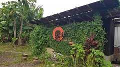 68924894_2492178330841130_..