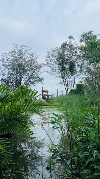 LINE_ALBUM_114112月例會-永..