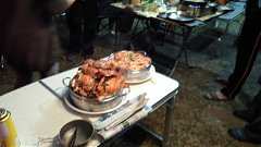 登白賓山遊桃花園、平安夜野..