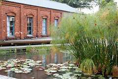 150749_578469132178345_539..