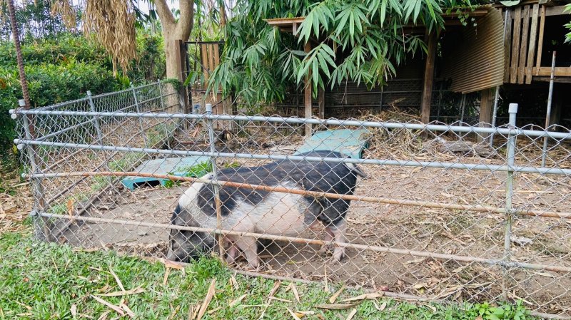 LINE_ALBUM_114112月例會-永..