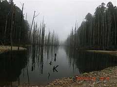 2013-03-16 水漾 163 (小型)