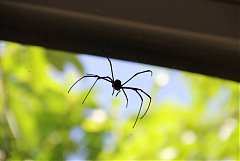 101年8月11~12日永續台東密..