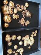 20190816讓愛旅行～台東2日..