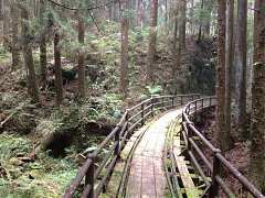 306896_448968545137428_158..