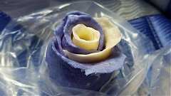 68436585_2494768473915449_..