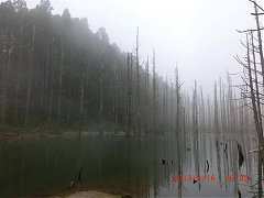 2013-03-16 水漾 150 (小型)