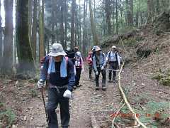 527659_10151355189259087_2..