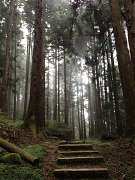 531517_448968431804106_166..