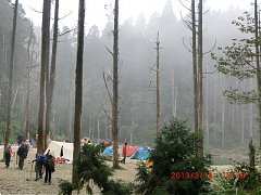 72450_10151355191294087_90..