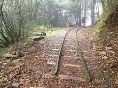 376825_448969781803971_192..