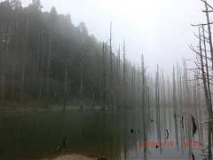 269269_10151355191509087_2..