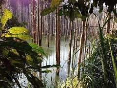 522470_554862424548039_965..