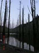 6019_10151355198379087_934..