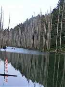 2013-03-17 水漾 101 (小型)