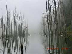 2013-03-16 水漾 167 (小型)