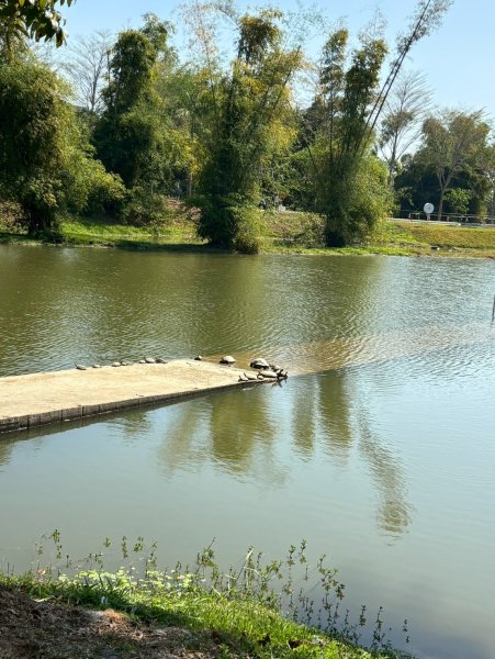 LINE_ALBUM_2026222新春聯誼..