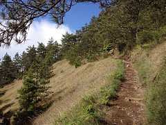 525812_413851355315814_100..