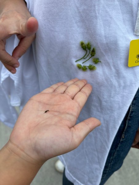 LINE_ALBUM_20240921永續阿..