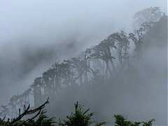 5316162精彩北大武 三天剛剛..