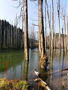 2013-03-17 水漾 140 (小型)