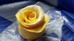 68487021_2494768533915443_..