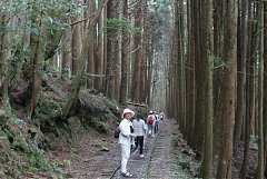 391402_10150963218909087_2..