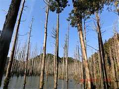 2013-03-17 水漾 143 (小型)