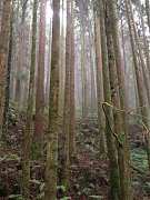 600132_448968561804093_816..