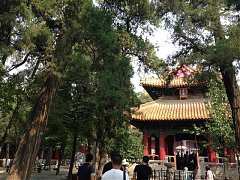 9238_645813225452958_67801..