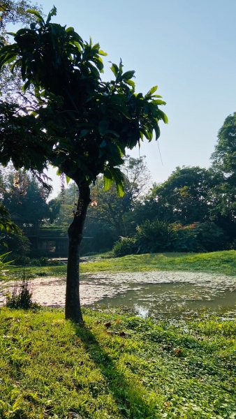 LINE_ALBUM_114112月例會-永..