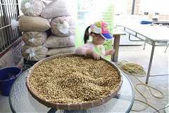 101年8月11~12日永續台東密..