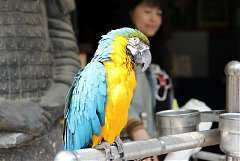 307469_578472042178054_683..