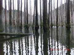 2013-03-17 水漾 040 (小型)