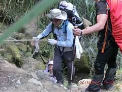 527619_10151355184884087_5..