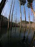 2013-03-17 水漾 147 (小型)