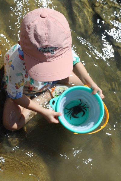 LINE_ALBUM_20250810永續年..