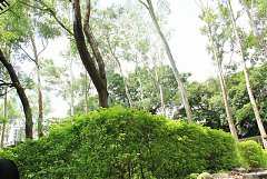 101年8月11~12日永續台東密..