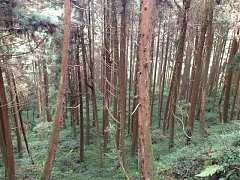 576145_448968625137420_174..