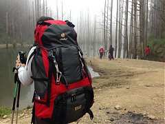 556720_554861194548162_210..