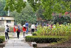 480409_578471312178127_112..